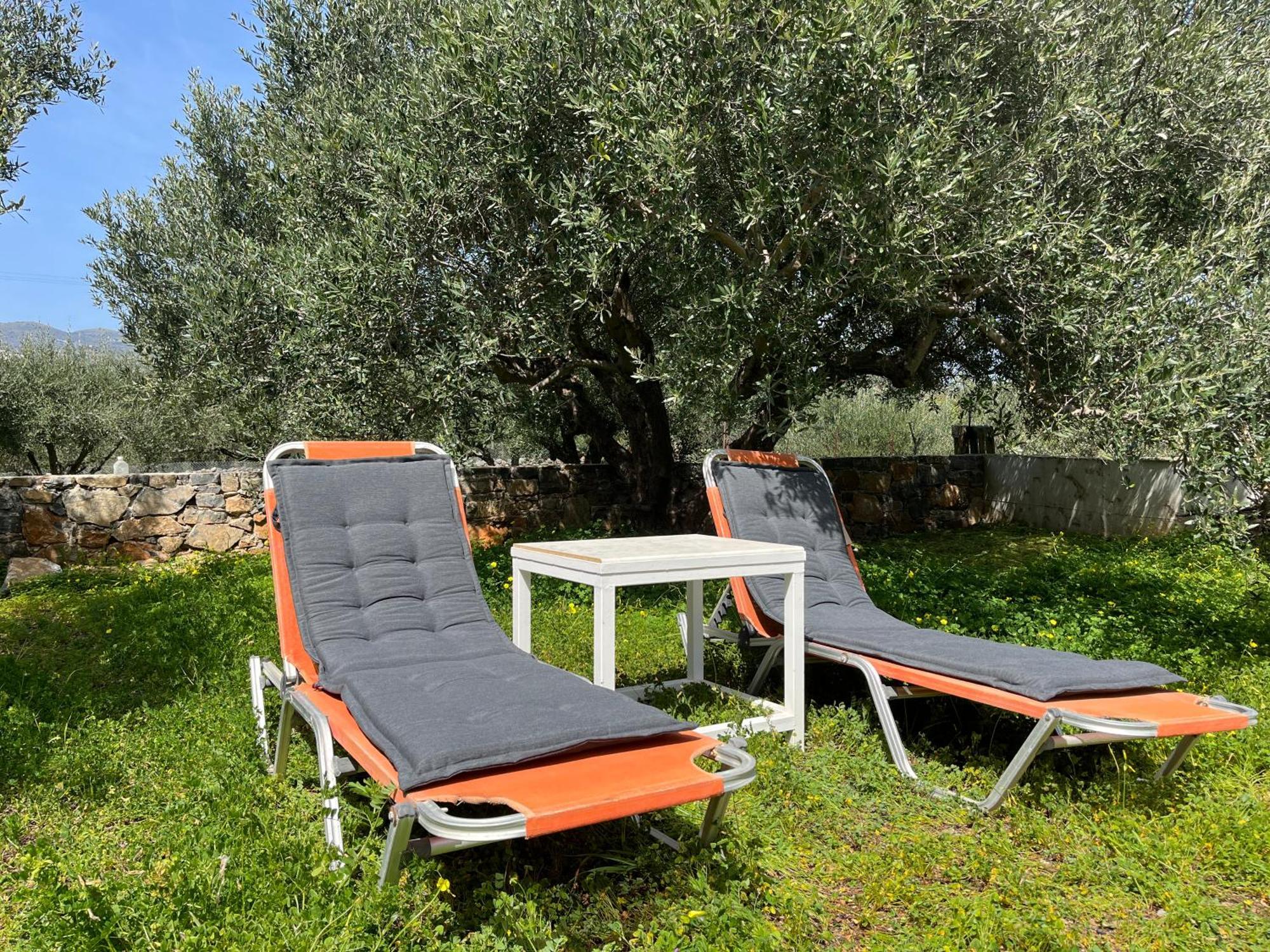Elounda Holidays Achillea Extérieur photo